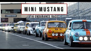 Mini Cooper vs Ford Mustang Film