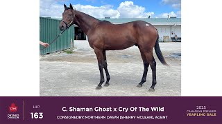 Hip 163 - C. Shaman Ghost x Cry Of The Wild