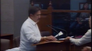 Senate Session No. 29 (October 6, 2017)