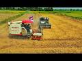 Amazing Farming Technology FM WORLD & KUBOTA Harvesting Rice in Action