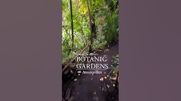 The Hortus Botanicus Amsterdam is one of the oldest botanic gardens in the world.