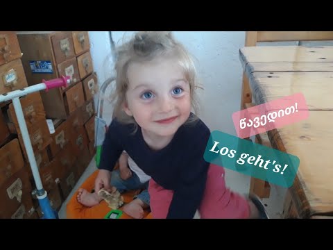 Los geht's! | Die Reise in Steppen | წავედით! მოგზაურობა უდაბნოში