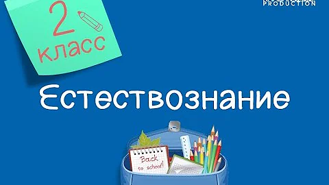 Естествознание. 2 класс. Откуда градусник  знает – тепло или холодно /21.04.2021/