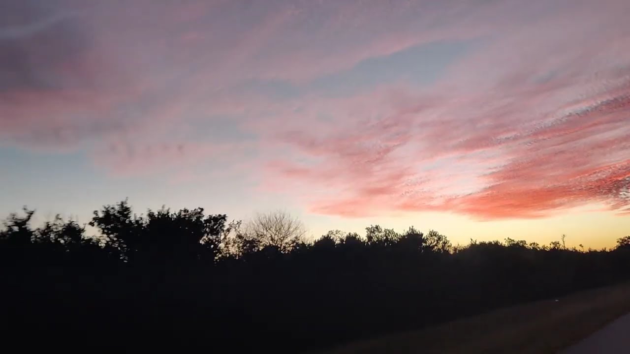 8/9 Driving in loop road, Florida Everglades National Park, Florida, USA