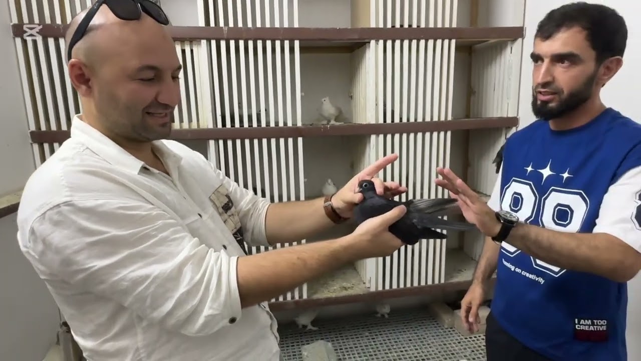 В гостях у Вали город Душанбе 🕊️🇹🇯