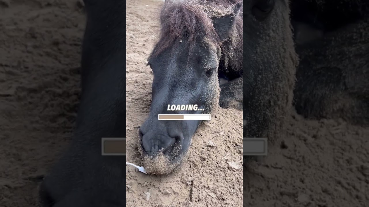 Einmal Akku aufladen bitte!🔋😂 