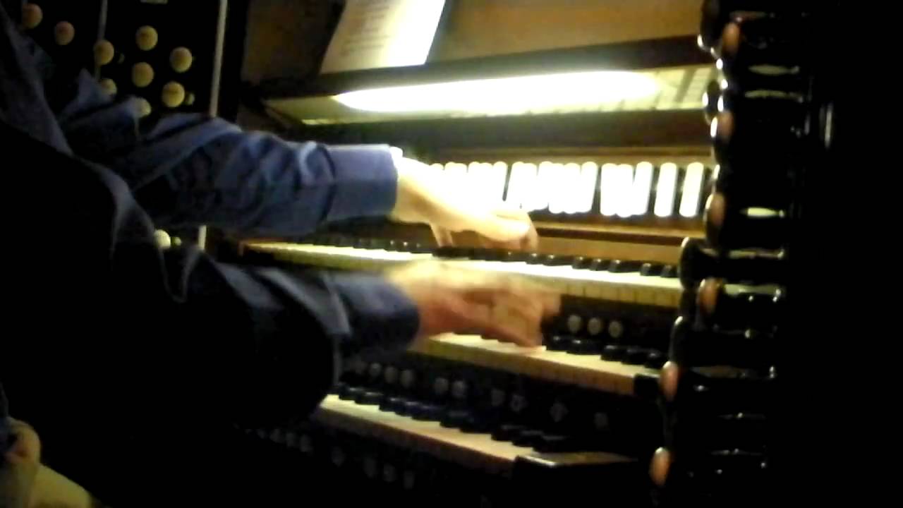 Roses from the South