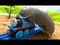 きかんしゃトーマスプラレール 踏切線路に巨大ダンゴムシ！！ガチャガチャ Thomas＆friend