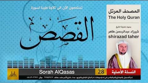 28 | سورة القصص | شيرزاد عبد الرحمن طاهر | shirazad taher