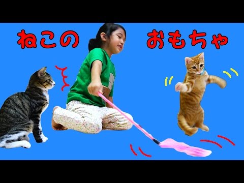 我が家の子猫☆ルイ君とくるみちゃんと遊ぼう！いろんな猫のおもちゃ♪himawari-CH