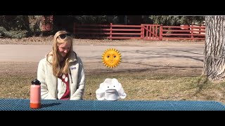 Kindergarten Virtual Field Trip: Weather Lesson
