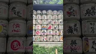 #japan #travel