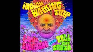 Indian Walking Trip - Love Everyone And Tell The Truth (Full Album 2024)
