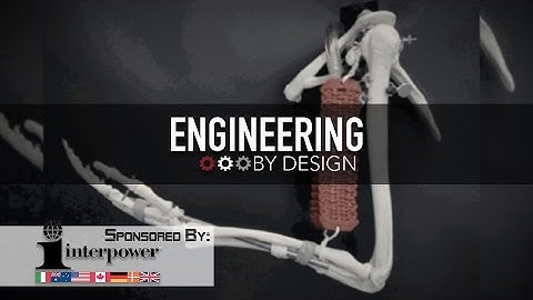 Engineering By Design: First Step Towards Soft-Bodied Robots Modeled After Biceps