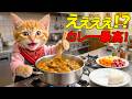 【まさか】トラにゃん、自炊したカレーが大惨事に!?名店で修行した驚きの結末😱🍛🔥🐱✨