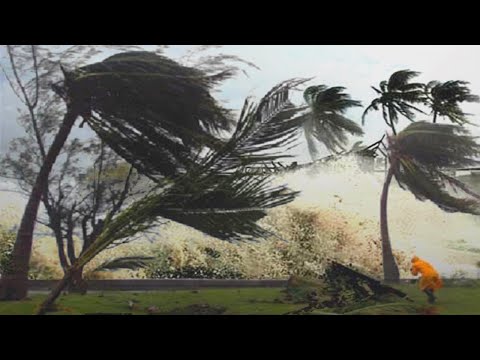 Video: Vremea și clima în Cairns