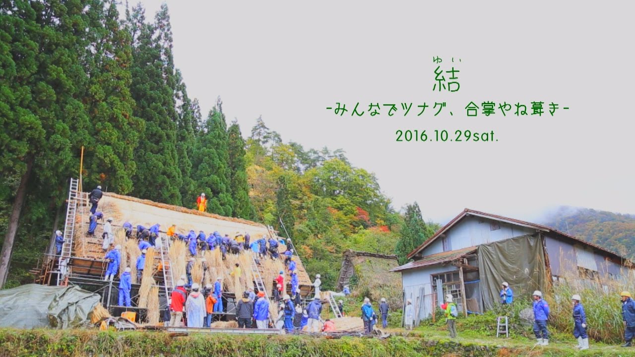 ええとこなんやさ、白川村。】 結による屋根葺き編 - YouTube