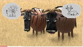 #Chha koVideos Funny Chhako Savanna version. Wildebeest from Birdbox 