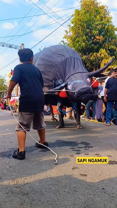 Sapi ngamuk⁉️🔥 belum dikasih makan #comedy #shorts #youtubeshorts #karnaval   #viralvideo #funny