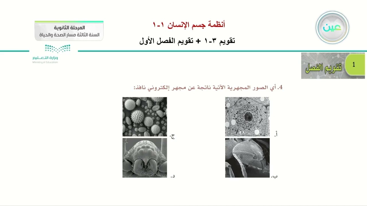 تقويم 3-1 + تقويم الفصل الأول - أنظمة جسم الإنسان (1-1) - المرحلة الثانوية