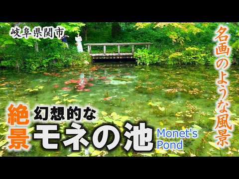 絶景】美しすぎる湧水池「モネの池」まるで名画のような風景～関市