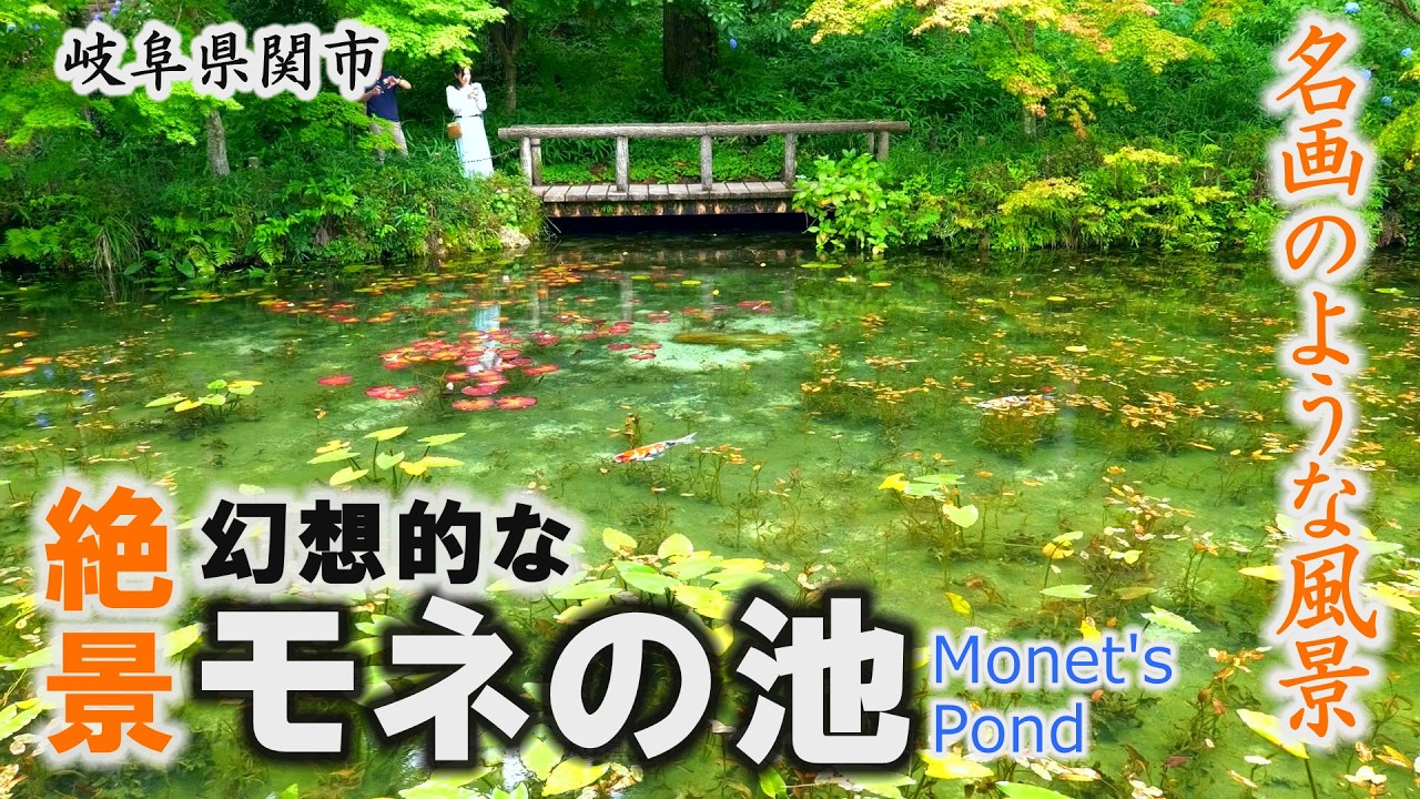 絶景】美しすぎる湧水池「モネの池」まるで名画のような風景～関市