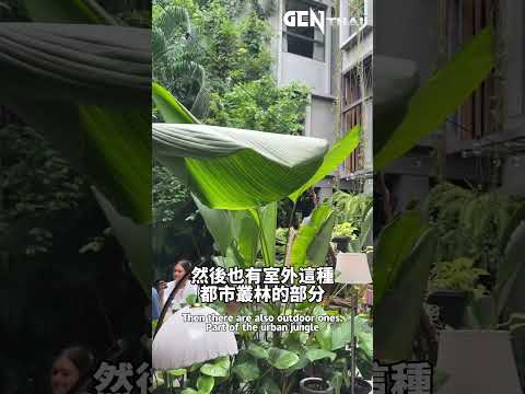 ????曼谷最文青的秘密咖啡館｜Taiban Café 藝術＋綠意小天地 #travel
