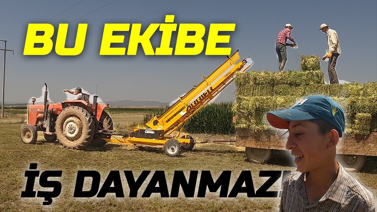 YONCADA DEKARA 650 KG VERİM ALDIK. KABA YEMİN KRALI YONCA! RAMAZAN'I İLK DEFA ÇALIŞIRKEN ÇEKTİK.
