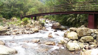 20201115 松羅步道鋼構拱型橋 20201115 松羅步道鋼構拱型橋