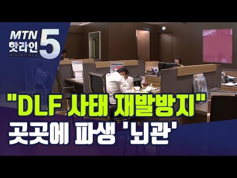 &amp;quot;<strong>DLF사태</strong> 재발방지&amp;quot;한다는데…곳곳 &amp;#39;뇌관&amp;#39; / 머니투데이방송 (뉴스)