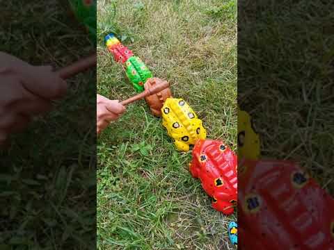 Funny Wooden Frog Instrument 01 #Shorts