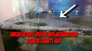 Cara mengatasi busa atau buih air aquarium tanpa ganti air