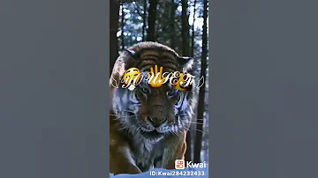 أنا أبويا قلي هتعيش أسد تسوق مملكه 