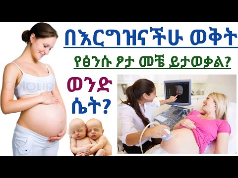 ቪዲዮ: ፍቺ ወንድ ነው ወይስ ሴት?