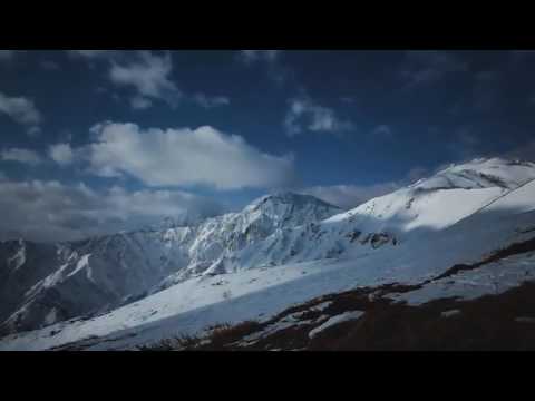 تلاوة ذهبية الله ولي الذين آمنوا يخرجهم من الظلمات إلى النور ياسر الدوسري