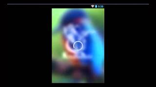 Kingfisher Bird Theme For Android Phone screenshot 3