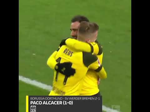 Video: Paco Alcacer: Biografie, Kreativita, Kariéra, Osobní život