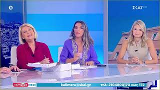 Η Μιλένα Αποστολάκη για τις επιδοτήσεις του ρεύματος | ΣΚΑΪ | ΚΑΛΗΜΕΡΑ | 17/09/2022