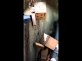 جديد عمر دياب سلمتلك
