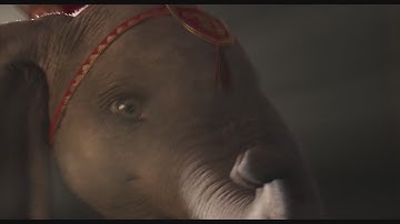 DVDs from Wednesday 062619