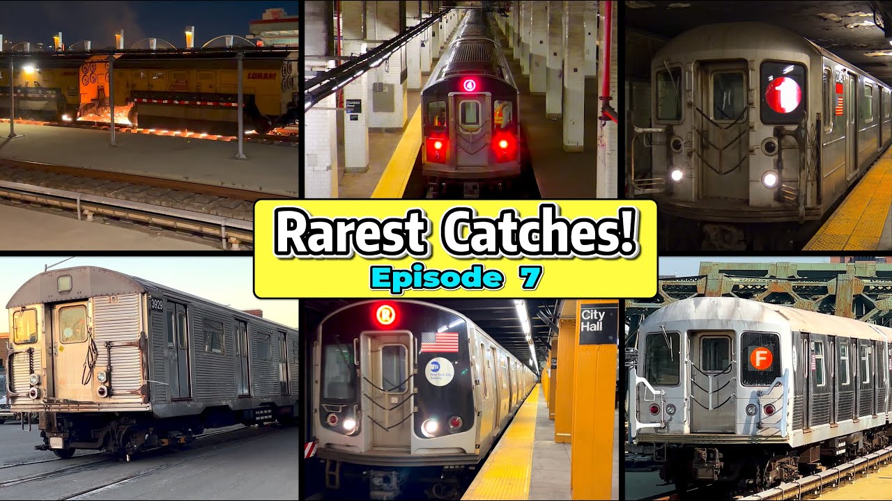 ⁴ᴷ⁶⁰ Dj Hammers' Rarest Catches Compilation - Episode 7