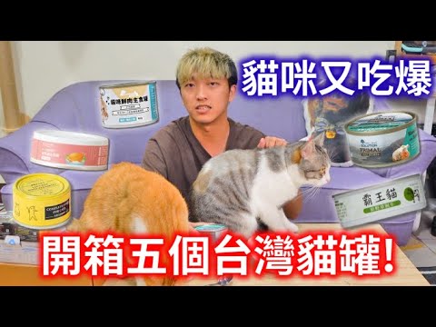 【瘋開箱Ep8】開箱五個台灣貓主食罐品牌!耐吉斯、霸王貓、卡尼、自然食、好味小姐幼母貓