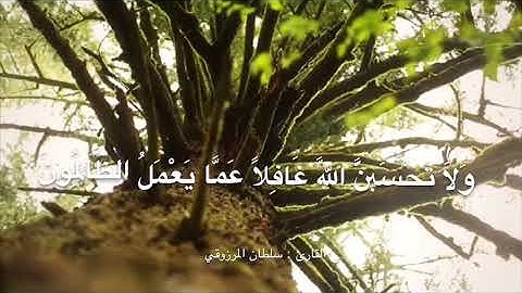 تلاوة مؤثرة من صلاة الجمعة ، للقارئ : سلطان المرزوقي