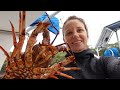 Call me the LOBSTER HUNTER - Free Range Sailing Ep 137