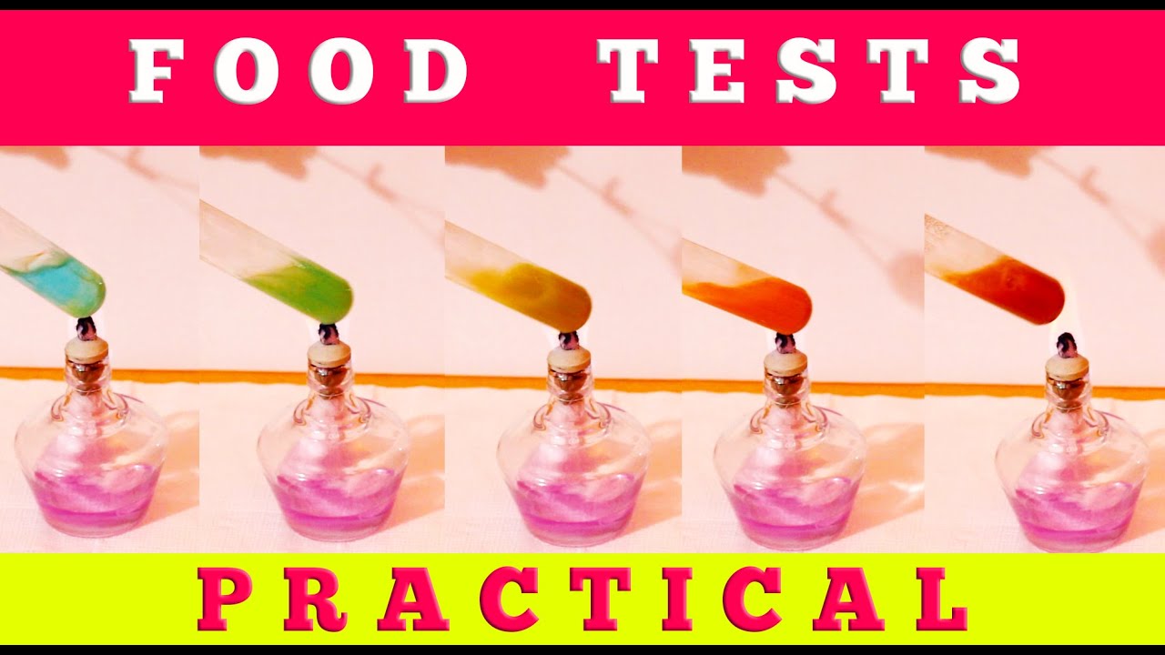 Food tests Glucose test, Benedict test, Starch test, Biuret test