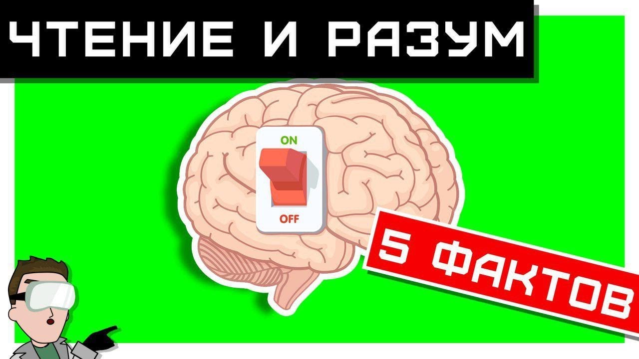 ЧТЕНИЕ и РАЗУМ: влияние литературы на мозг. Все ФАКТЫ! 🧠