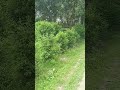 জায়গাটা অনেক মনোরম তাই তোমাদের সাথে শেয়ার করলাম।