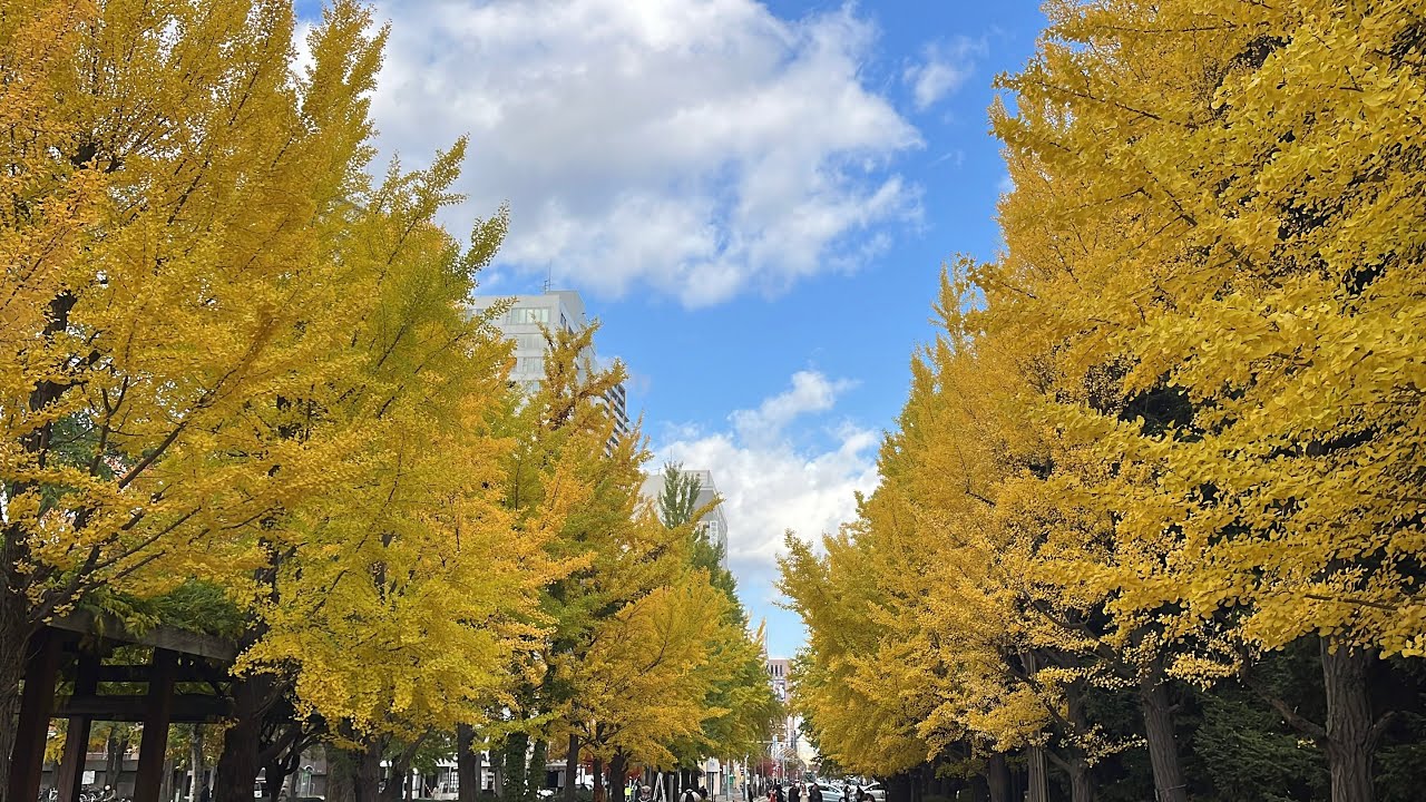 2025-11-05  札幌-中島公園