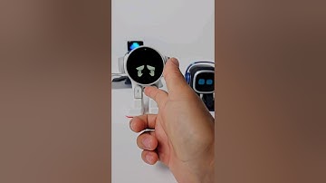 Hand Shooting 🔫 Rux vs Emo #robot #funny #ai #pets