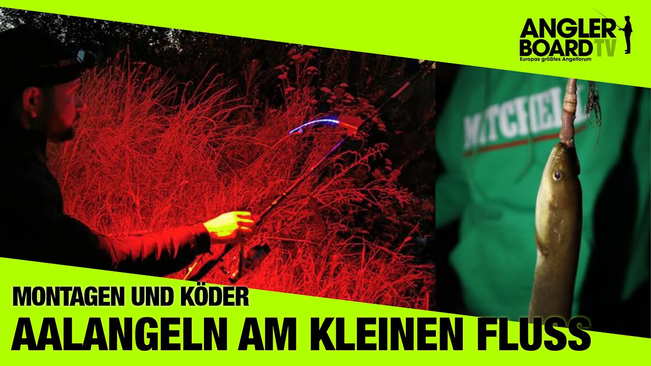 Aal angeln am kleinen Fluss Montagen und Köder Nachtangeln Anglerboard TV YouTube